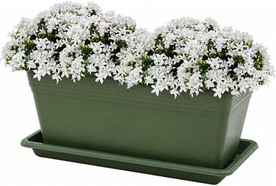 Plasticforte Plantenbak met water opvangschotel - donkergroen - rechthoek - 40 x 18 x 15 cm - balkon - terras - kunststof
