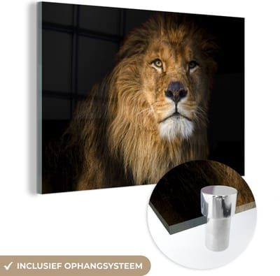 MuchoWow® Glasschilderij 120x80 cm - Schilderij acrylglas - Leeuw - Licht - Zwart - Portret - Foto op glas - Schilderijen