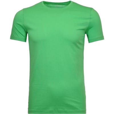 Ragman T-Shirt Round Neck Uni Bodyfit Groen / male