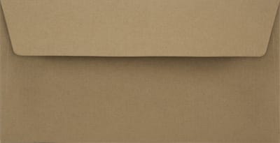 Ecologische bruine enveloppen DL - 110 x 220 mm - 50 stuks - HK zelfklevend met plakstrip - 100 gram - Eko Design - Netuno