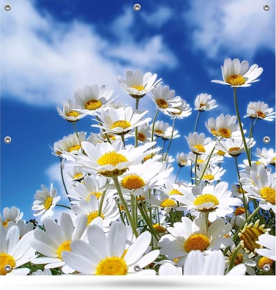 Tuinposter Tuindoek Bloemen 100x100cm - bevestigingsogen om de 30 cm - Schuttingposter - Haarscherp