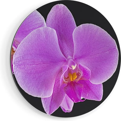 Artaza Dibond Muurcirkel Licht Paarse Orchidee - Bloem - Ø 40 cm - Klein - Wandcirkel - Rond Schilderij - Voor Binnen en Buiten