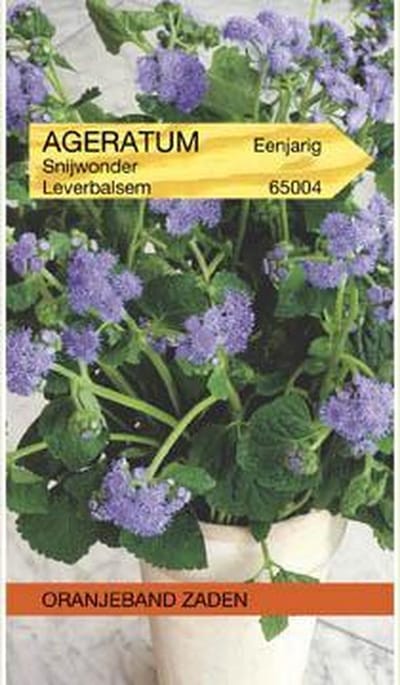 Ageratum, Leverbalsem Snijwonder