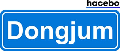 Hacebo - Plaatsnaam Sticker - 29x10 CM - Dongjum sticker - Verkeersborden sticker - grappige cadeaus - Dongjum