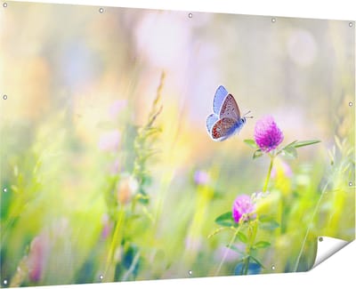 Gards Tuinposter Blauwe Vlinder bij een Paarse Bloem - 180x120 cm - Tuindoek - Tuindecoratie - Wanddecoratie buiten - Tuinschilderij