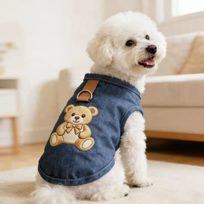Huisdier Puppy Hond Kat Kleding Teddy Grote Beer Schnauzer Pomeranian Lente Zomer Dunne Kleding 26 Jean Vest XXL