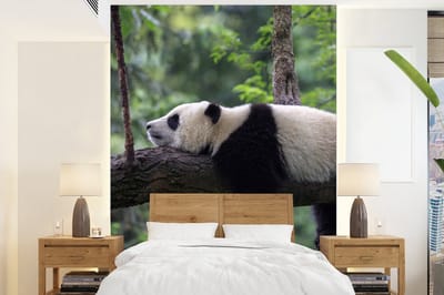 Behang - Fotobehang Panda - Boom - Dieren - Natuur - Breedte 160 cm x hoogte 220 cm