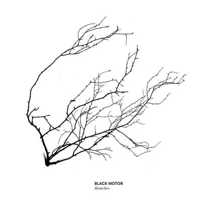 Branches