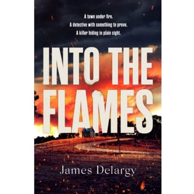 Into The Flames - James Delargy