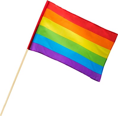 Boland - Polyester zwaaivlag Regenboog - Regenboog - Regenboog