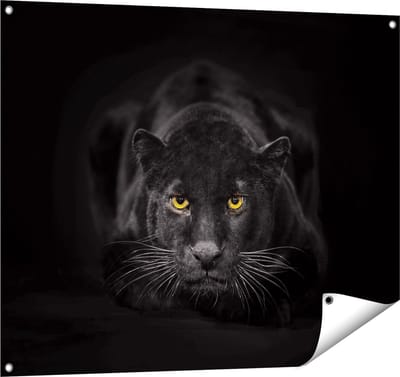Gards Tuinposter Zwarte Panter met Oranje Ogen - 100x80 cm - Tuindoek - Tuindecoratie - Wanddecoratie buiten - Tuinschilderij