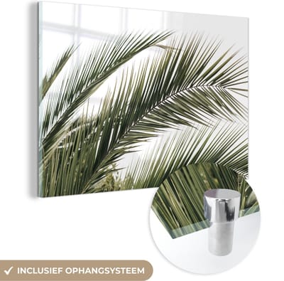 MuchoWow® Glasschilderij 150x100 cm - Schilderij acrylglas - Zomer - Bladeren - Tropisch - Palmblad - Foto op glas - Schilderijen
