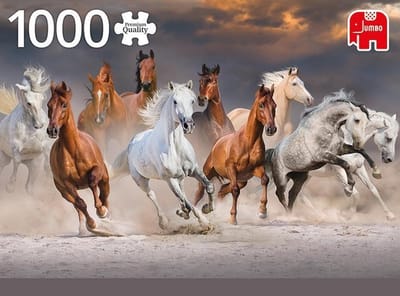 PC Desert Horses 1000pcs