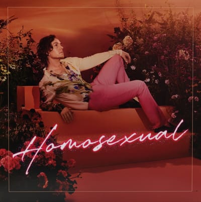 Darren Hayes - Homosexual (CD)