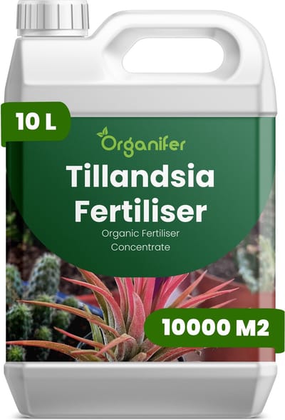 Vloeibare Meststof Voor Tillandsia 10 L Voor 10000 M2 - Npk 2-1-8 - Versterkt De Bladstructuur En Stevigheid - Bevordert Compacte - Evenwichtige Groei - Geschikt Voor Grondloze En Opgehangen Planten - Ondersteunt Langdurige Vitaliteit - Organifer