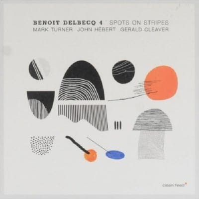 Spots On Stripes - Benoit Delbecq