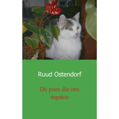 De Poes Die Ons Inpakte - Japke en Ruud Ostendorf Ostendor