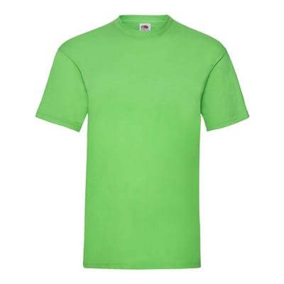 Fruit of the Loom Unisex Adult Waardevol T-Shirt (Kalk)