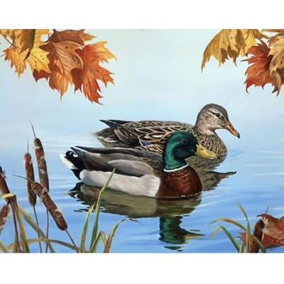 5D artisanat diamant broderie couture diamant peinture canard mandarin point de croix 20X30CM black