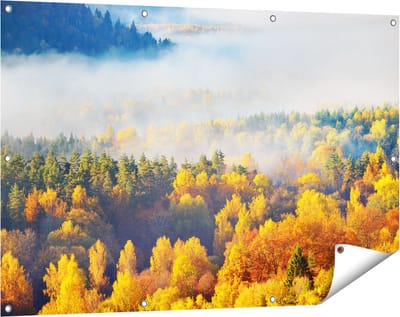 Gards Tuinposter Gekleurde Herfstbos met Mist - 120x80 cm - Tuindoek - Tuindecoratie - Wanddecoratie buiten - Tuinschilderij