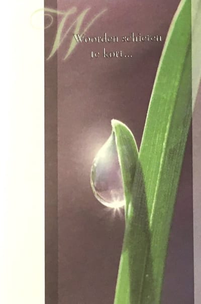 Luxe Wenskaart Deelneming - Condoleance - Overlijden - Oprechte Deelneming - Art of Cards - 11,5x17cm - Dubbele Kaart - Met Envelop - Luxe Wens Kaart - Greeting Card - 1 Stuks - In Folie Apart Verpakt - Angel 47 - Druppel - Gratis Verzonden