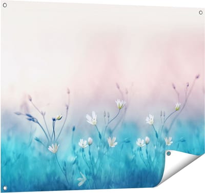 Gards Tuinposter Witte Bloemen op een Blauw Achtergrond - 100x80 cm - Tuindoek - Tuindecoratie - Wanddecoratie buiten - Tuinschilderij