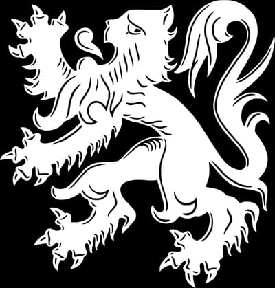 Vlag As 150x225cm