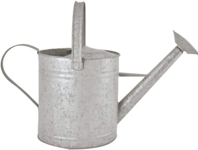 35 liter oude zinken gieter - Gevallen vruchten, vintage tuindecoratie Watering Can