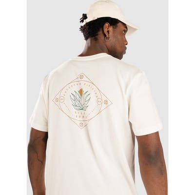Billabong Agave Adiv Premium T-Shirt wit
