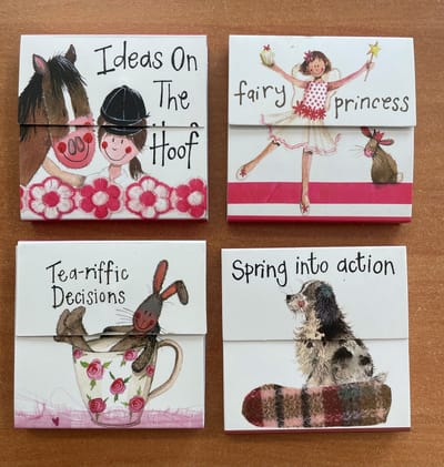 Alex Clark Mini Magnetic Notepad's - Magnetische notitieblokjes 4 stuks