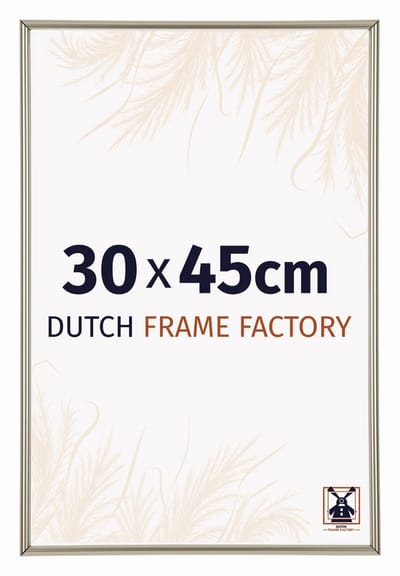 Fotolijst 30x45 cm - Kunststof - Champagne - Angers