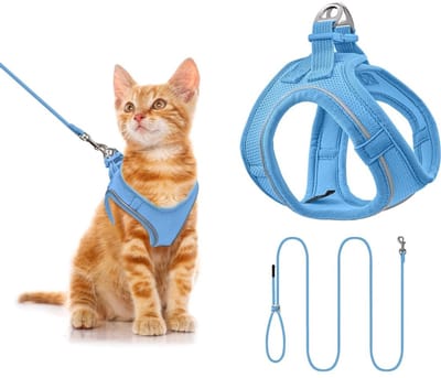 CLVP® Kattentuigje met Looplijn - Kattentuigje - Kattenharnas - Blauw