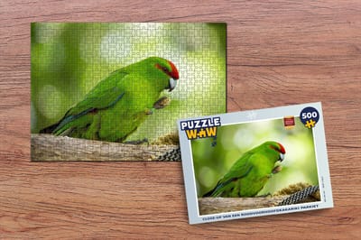 Puzzel Close-up van een Roodvoorhoofdkakariki parkiet - Legpuzzel - Puzzel 500 stukjes