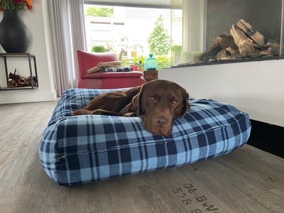 Dog's Companion Hondenkussen / Hondenbed - M - 90 x 70 cm - Fleece Cosy Blue