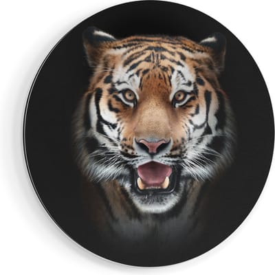 Artaza Dibond Muurcirkel Tijgerkop - Tijger - Ø 90 cm - Groot - Wandcirkel - Rond Schilderij - Voor Binnen en Buiten