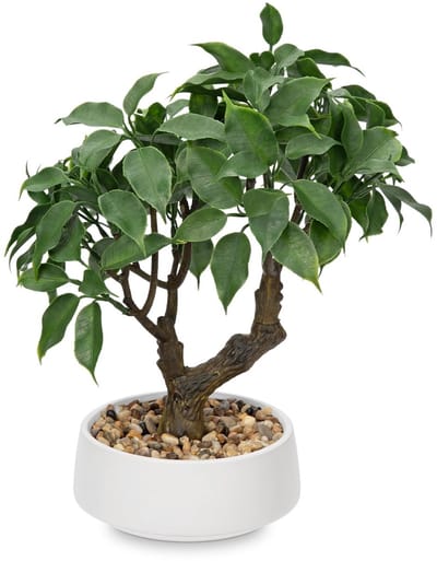 Dailygoods - Oairse Kunstplant Bonsai boom in keramische pot kunstmatige bonsaiboom echte decoratie kunstmatige kamerplanten in potten voor woonkamer slaapkamer badkamer vensterbank decoratie