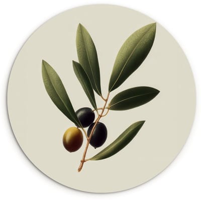 WallCircle® Wandcirkel 120x120 cm - Muurcirkel Olijftak - Donkergroen - Olijven - Muurdecoratie woonkamer - Wanddecoratie slaapkamer - Kamer decoratie accessoires - Ronde schilderijen XXL