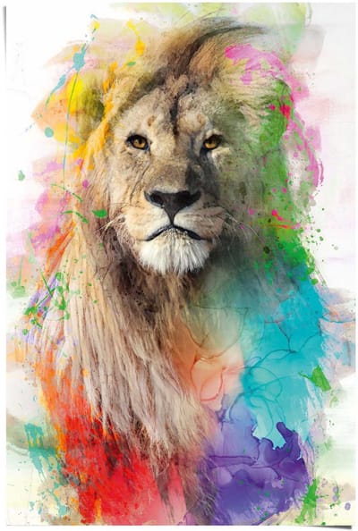 Poster Leeuw - 91,5 x 61 - Papier - REINDERS