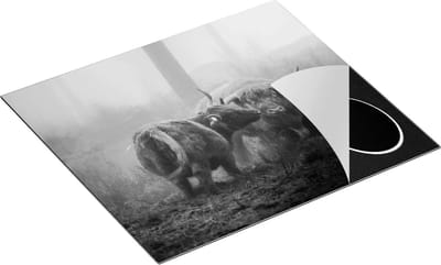 Chefcare Inductie Beschermer Twee Schotse Hooglanders in de Mist - Zwart Wit - 60x50 cm - Afdekplaat Inductie - Kookplaat Beschermer - Inductie Mat