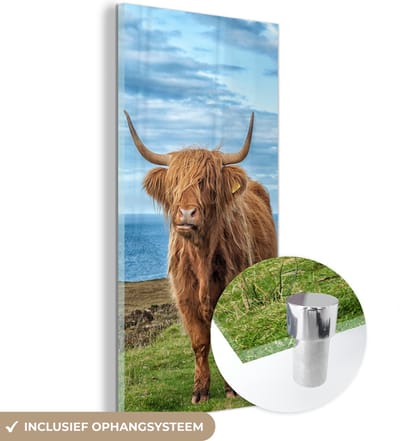 MuchoWow® Glasschilderij 20x40 cm - Schilderij acrylglas - Schotse Hooglander - Water - Horens - Foto op glas - Schilderijen