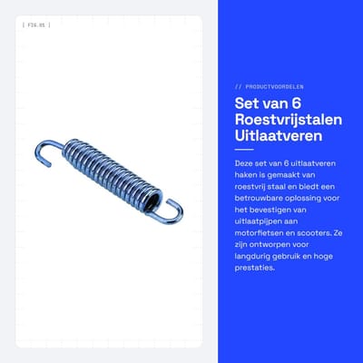 Dailygoods- Uitlaatveren 6 stuks - Roestvrijstalen Haken - Hoge Temperatuur Weerstand - Duurzaam - Corrosiebestendig - Professioneel Ontwerp - Uitlaatbeugels