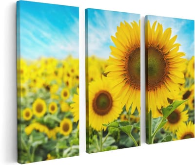 Artaza Canvas Schilderij Drieluik Zonnebloemen Veld  - 120x80 - Foto Op Canvas - Canvas Print