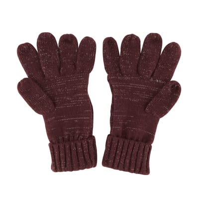Regatta Dames/dames Winterhandschoenen (Paars)