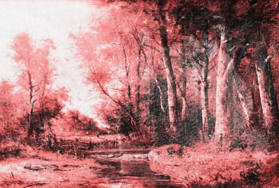 Fotobehang ForestPaint.3 DD117415 A.S. Création Atelier 47 | 3D Fotobehang op maat