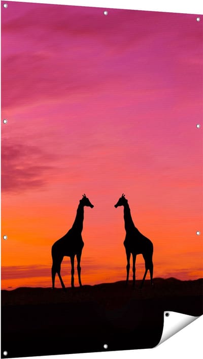 Gards Tuinposter Twee Giraffe Silhouetten bij Zonsondergang - 100x150 cm - Tuindoek - Tuindecoratie - Wanddecoratie buiten - Tuinschilderij