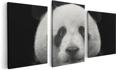 Artaza Canvas Schilderij Drieluik Panda - Pandakop  - 120x60 - Foto Op Canvas - Canvas Print