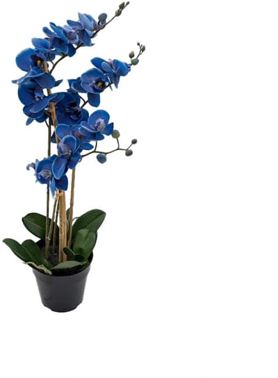 Kunst Phalaenopsis Orchidee In Pot x3 60 cm - Blue