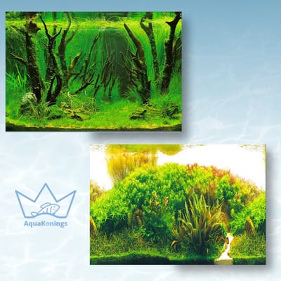 AquaKonings Aquarium Poster – Waterdicht - Decoratie Vis Poster - Aquarium Decoratie - Aquarium Wand - 200x60 cm - A