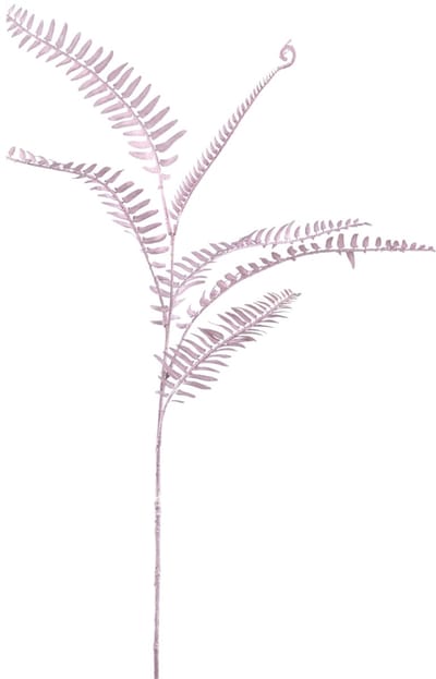 PTMD kunsttak Fern roze 102 cm 12 stuks