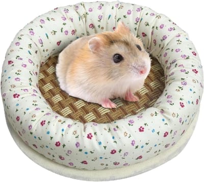 Grasnest Hamsterbed - Knaagdier Mandje - Kleine Dieren Rusten - Ademend Grasmateriaal - 21x21x5 cm - Niet gespecificeerd